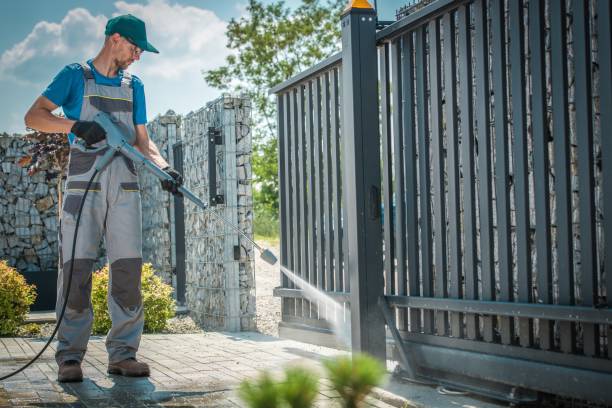Best Rust Removal  in Alpena, MI